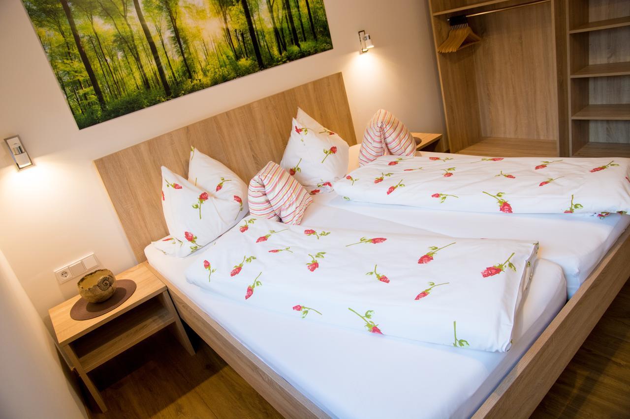 Apartment Alpenapart Singer - Contactless Check-in